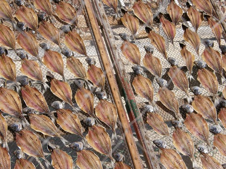 PB082736.jpg