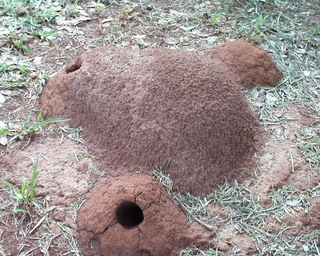 PIC00007.jpg