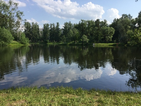 park.JPG